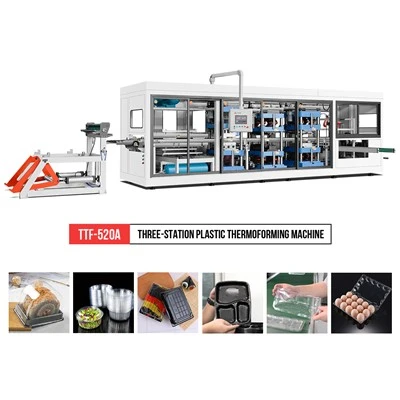 Thermoformmaschine für Pp Trays