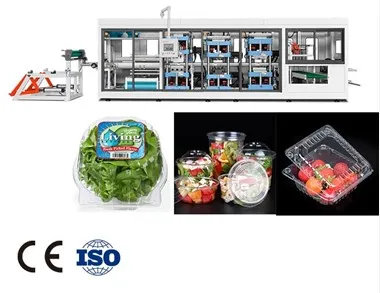 HAUSTIER Durchsichtige Plastikclamshell, die Maschine herstellt